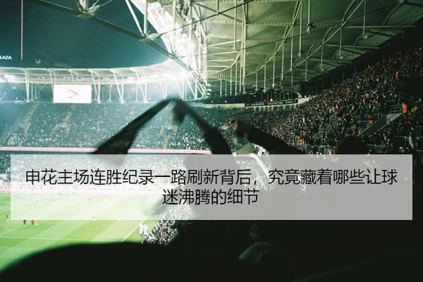 申花主场连胜纪录一路刷新背后，究竟藏着哪些让球迷沸腾的细节